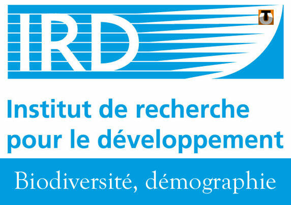 L'IRD au Cameroun