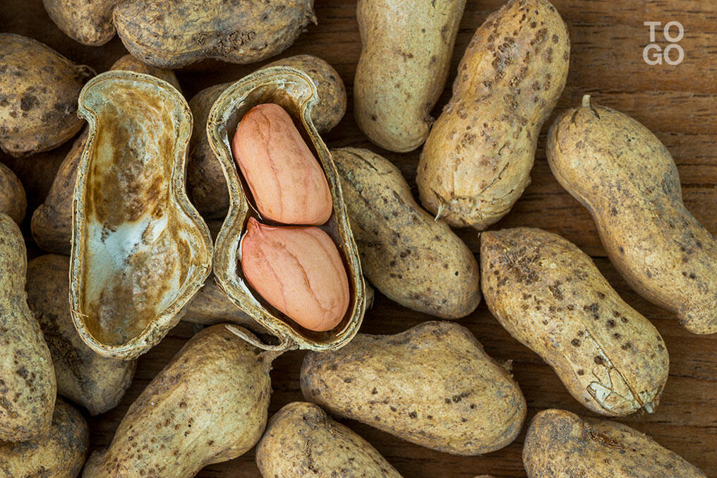 L'agriculture togolaise se met à la transformation République Togolaise