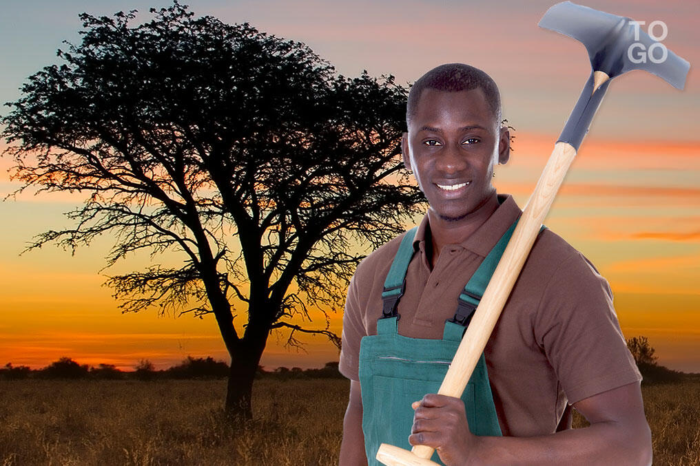 Agriculture le Togo passe à la vitesse supérieure République Togolaise