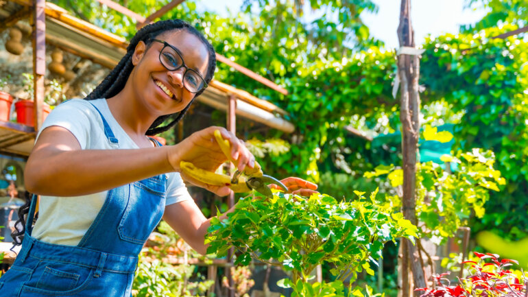 Agriculture climato-intelligente : le Togo engrange les résultats