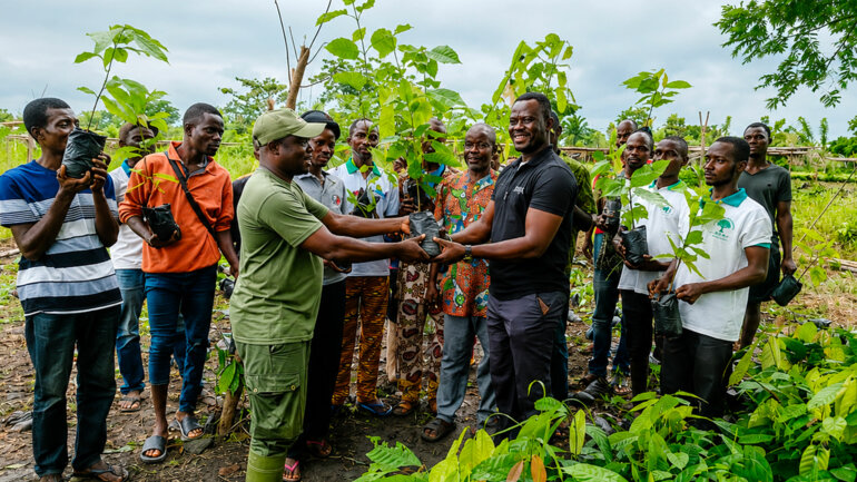 Café-cacao : une opération de solidarité pour relancer les plantations sinistrées