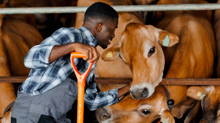 La BAD en mission exploratoire 