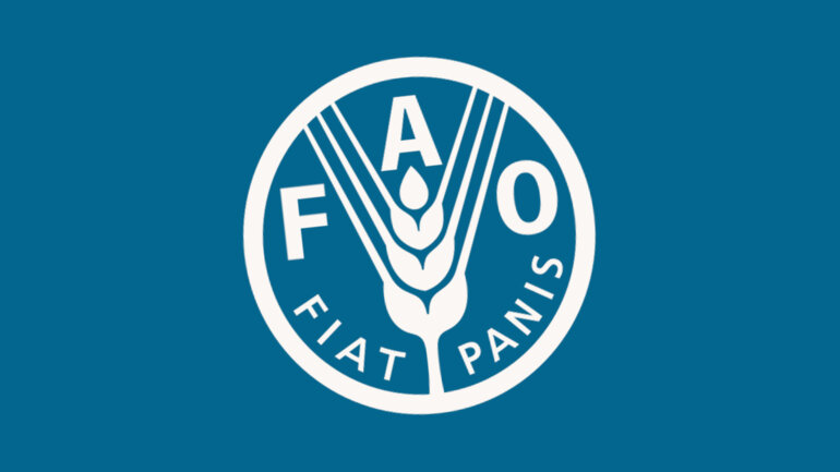 La FAO renforce son appui aux jeunes entrepreneurs
