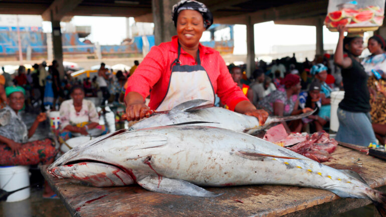 Pêche et aquaculture : le Togo s'aligne sur la stratégie de l'UA