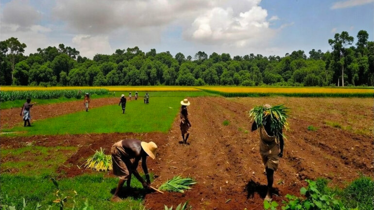 Promotion d'une agriculture régionale 