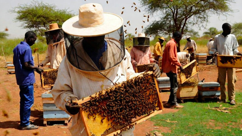 Quatre priorités pour transformer l'agriculture d'ici 2031