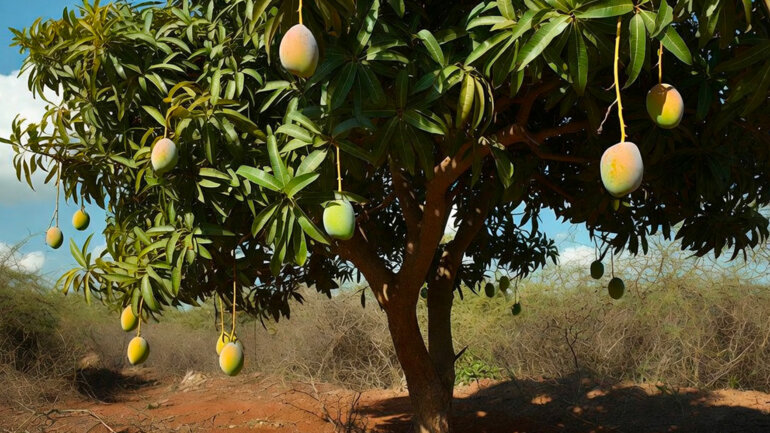 Résilience agricole