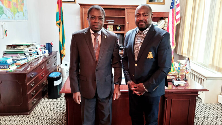 Une initiative de la Diaspora togolaise pour soutenir les PME et PMI