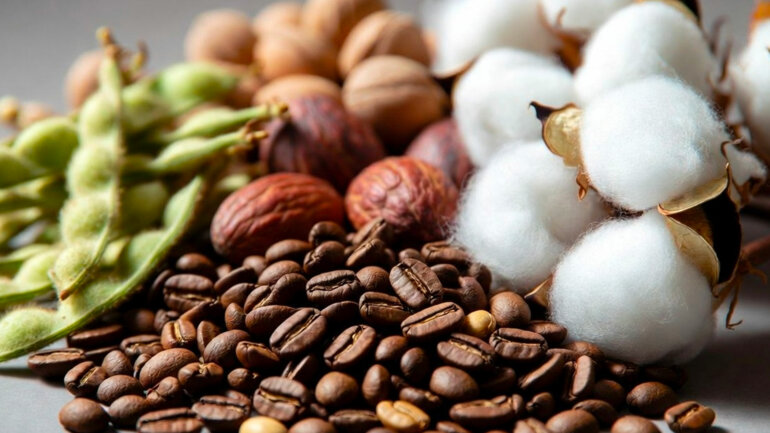 Exportations agricoles en hausse 