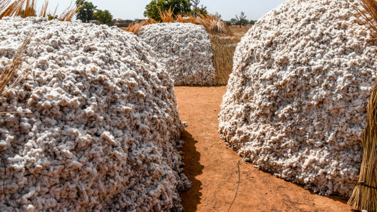 La NSCT promet des efforts, les producteurs réclament mieux