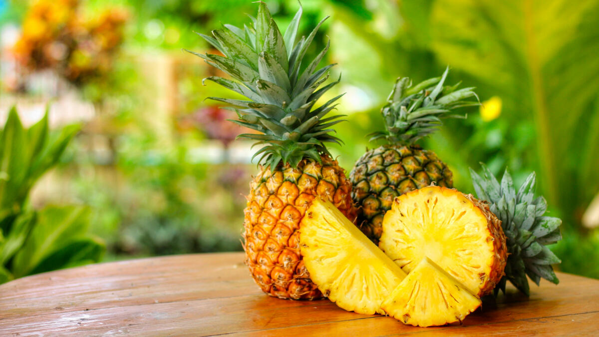 Le fruit d'un projet solidaire