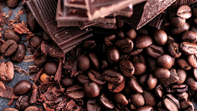 Les acteurs de la filière  café-cacao en immersion ZLECAf