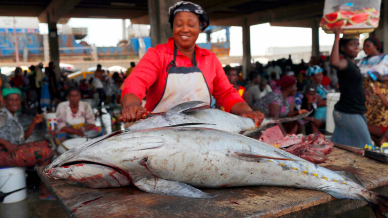 Réduire la dépendance aux importations, c’est possible 