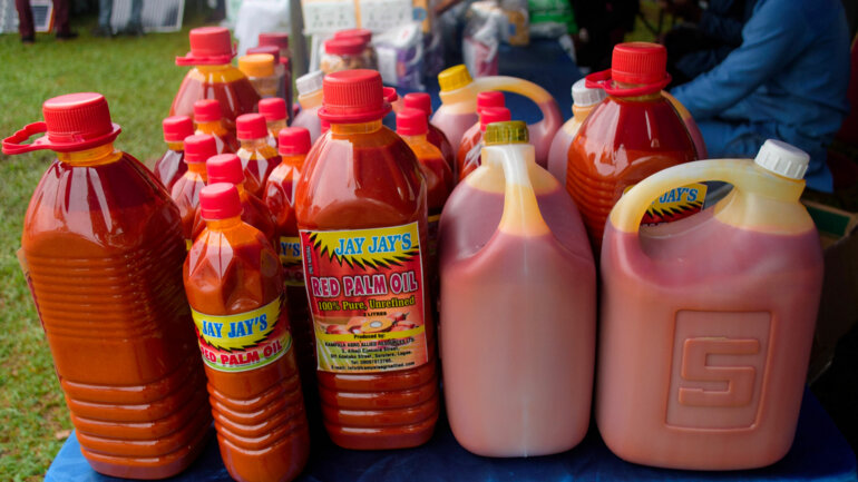 Une usine d’huile rouge bientôt opérationnelle à Tchékpo