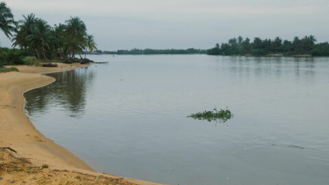 Bassin du Mono : Le Togo et l’UE lancent une initiative pour l’eau et l ...