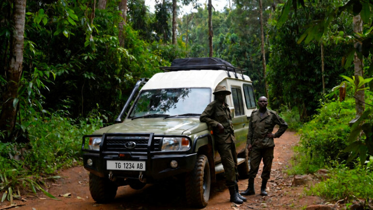 Des brigades mobiles en forêt