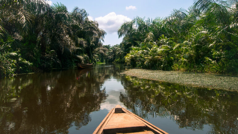 Face à l’érosion de la biodiversité, le Togo passe à l’action