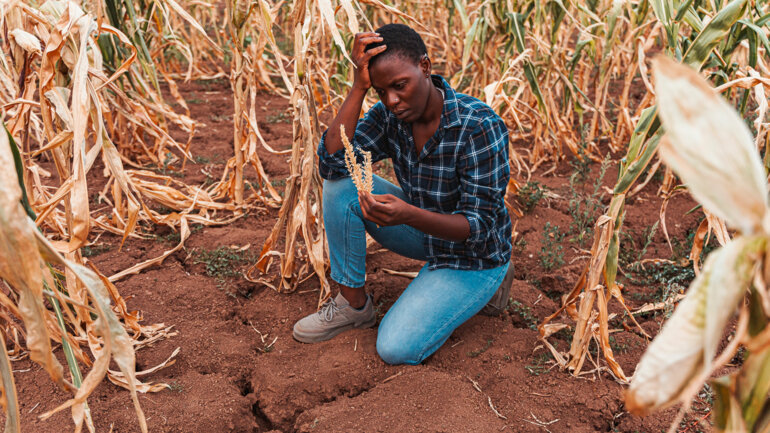 Prévisions inquiétantes 