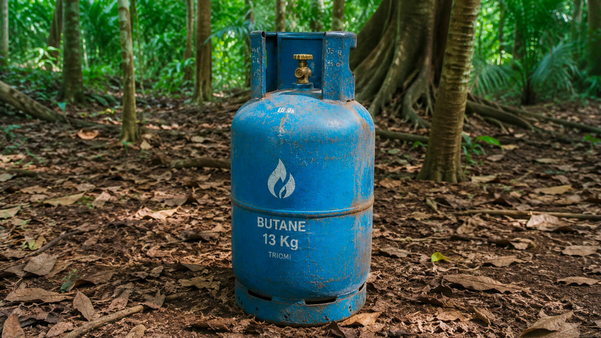 Quand le butane sauve les forêts 
