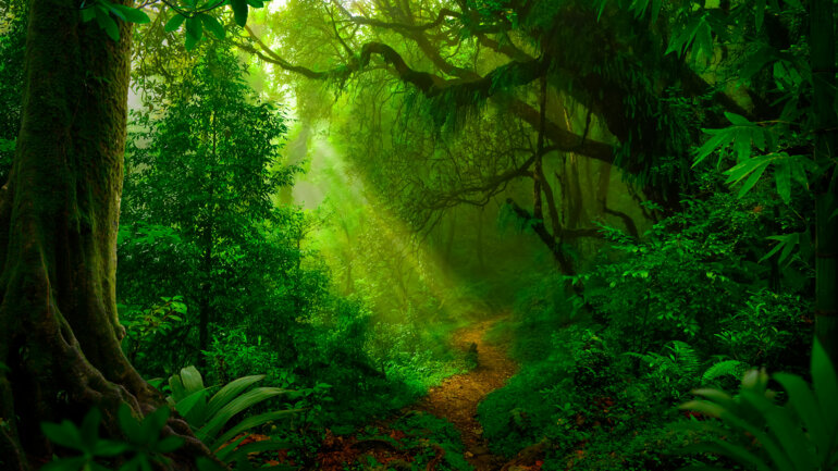 Un pays plus vert 