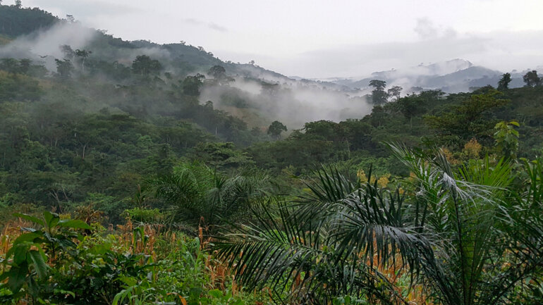 Biodiversité : le Togo se dote d'un nouveau cadre juridique