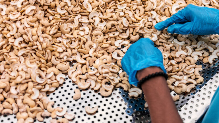 Cajou, soja, karité : trois filières désormais taxées à l'exportation