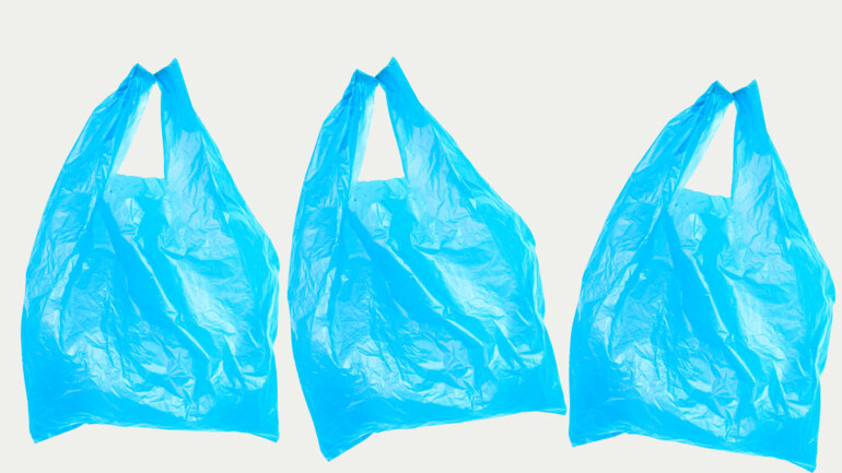 Interdit mais increvable : le sachet plastique fait de la résistance