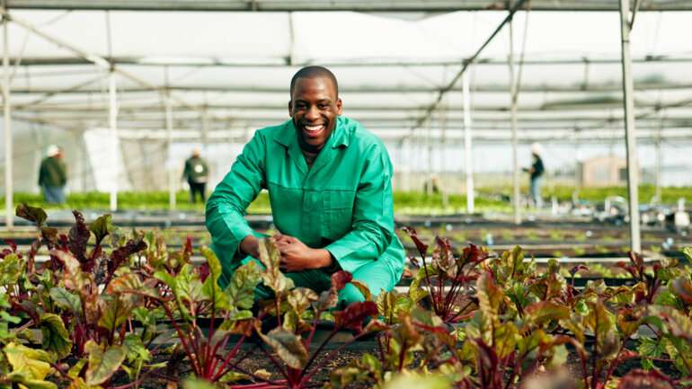 L’agriculture, socle de la résilience économique