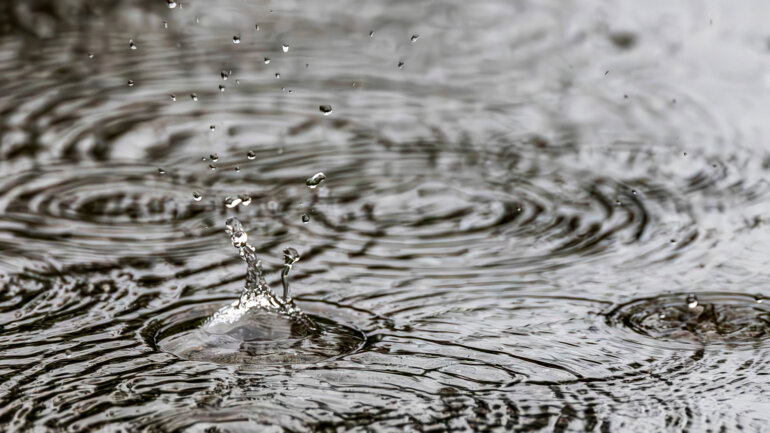 La pluie se fait attendre 