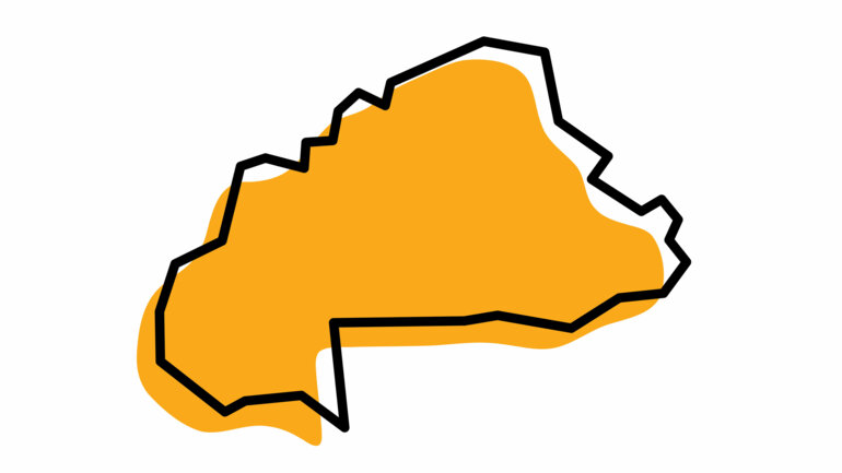 Milice numérique et désinformation 