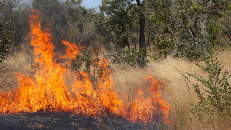 Prévention des incendies : les dates limites enfin connues