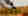 Crash d'un avion militaire russe au Mali 