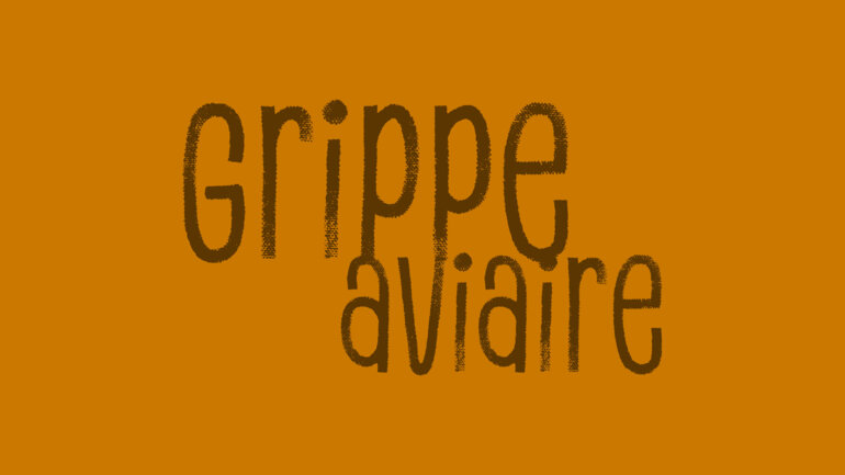 District des Lacs : la grippe aviaire relance la vigilance sanitaire