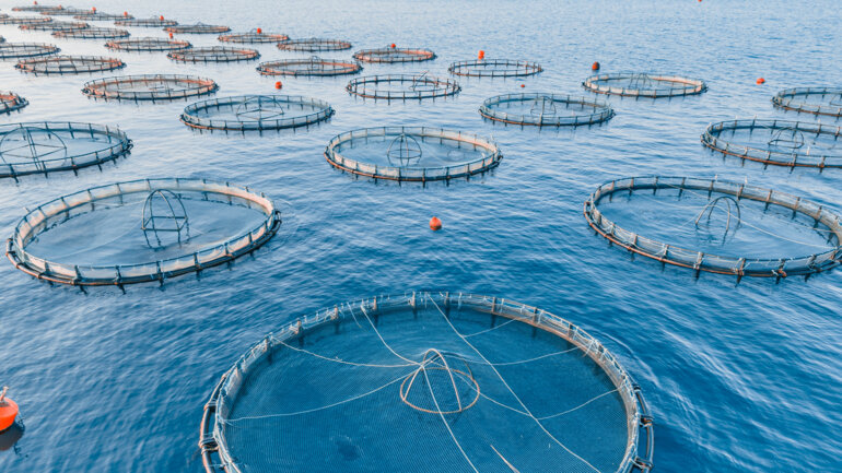 Cap sur la biosécurité 