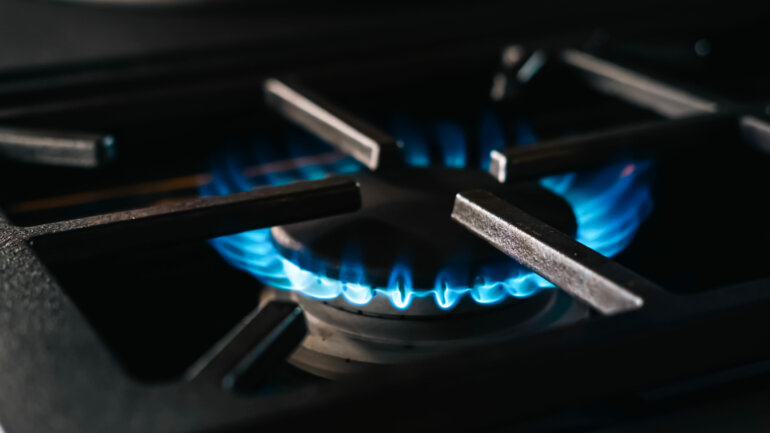 Le gaz butane sauve les forêts 