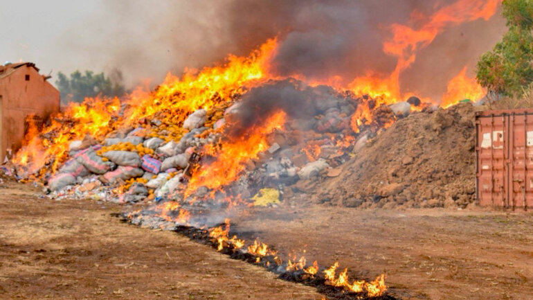 Le Togo détruit 6 tonnes de drogues saisies en 2024