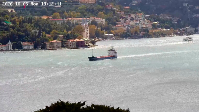 Naufrage d'un cargo sous pavillon togolais en mer Noire : la Syrie réclame une enquête