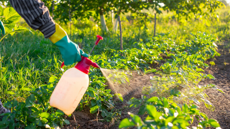 Pesticides : vers une réglementation commune en Afrique de l’Ouest