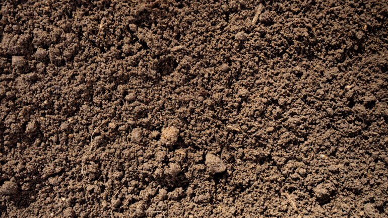 Un effort agricole massif pour garantir la sécurité alimentaire